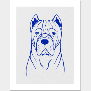 Cane Corso (Grey and Blue) Posters and Art